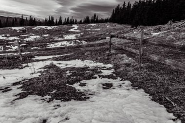 Karla kaplı ağaçlarla kaplı kış manzarası