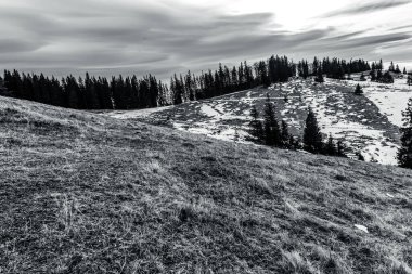 Dağları ve ağaçları olan güzel bir manzara.