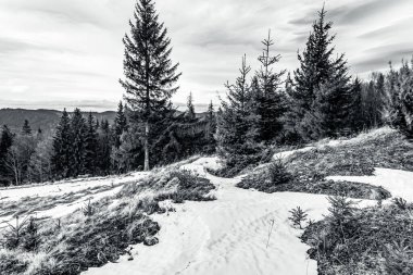 Dağlardaki güzel kış manzarası