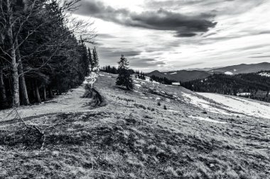 Dağlarda karla kaplı ağaçlarla kaplı güzel kış manzarası. yüksek kaliteli fotoğraf