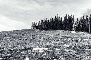 Dağları ve ormanı olan güzel bir manzara.