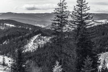 Kışın köknar ağaçları ve karla kaplı dağ manzarası - tepeli dağlar.