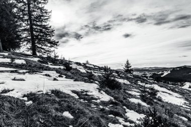 Ağaçla karlı bir dağın dikey görüntüsü.
