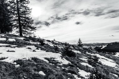 Bir dağ manzarasının güzel bir görüntüsü