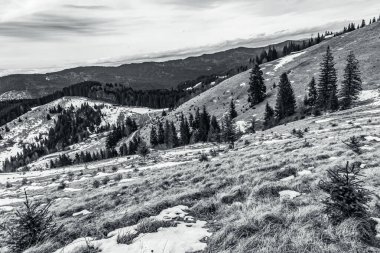 Karpatya dağının siyah beyaz fotoğrafı