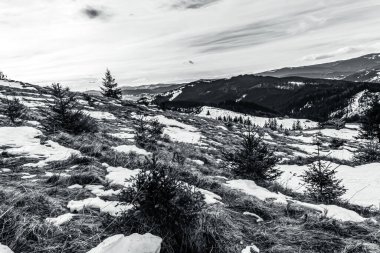 Dağları ve ağaçları kaplayan siyah ve beyaz kar, doğa ve seyahat geçmişi
