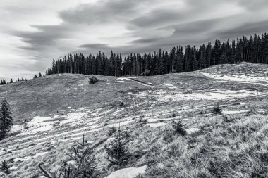 Kışın ağaçlarla kaplı bir dağ sırası.