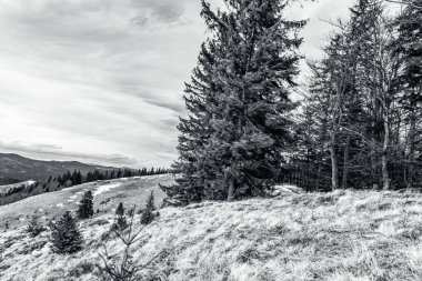 Dağların güzel manzarası