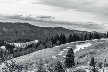 Dağın tepesinden Karpatların manzarası