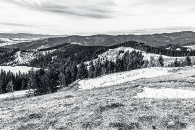 Karpat Dağları 'ndaki siyah beyaz dağ manzarası