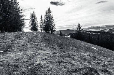 Avrupa 'da kış mevsiminde dağların ve ormanların güzel manzarası