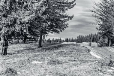 Bir yolu ve karla kaplı dağları olan güzel bir manzara.