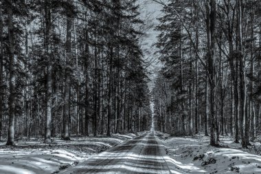 Kışın karlı ormanda yol