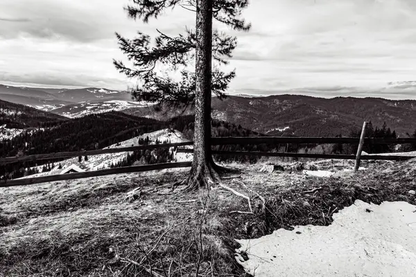 Arkasında bir dağ olan güzel bir manzara.
