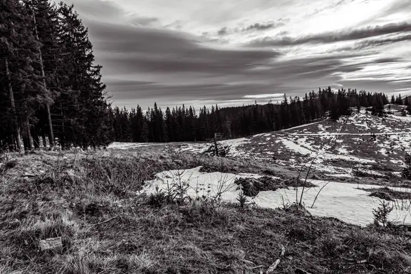 Karla kaplı ağaçlarla kaplı güzel kış manzarası