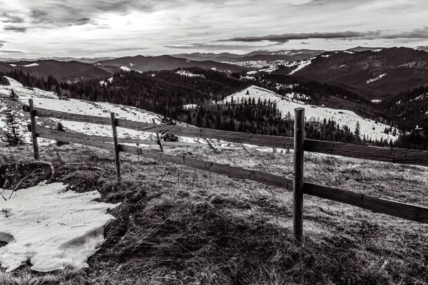 Ağaçlarla kaplı güzel kış manzarası