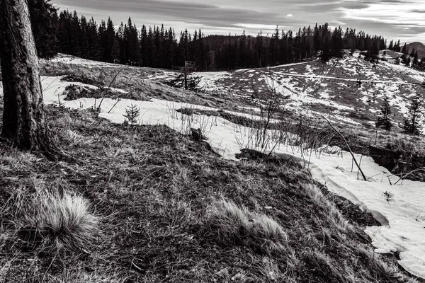 Kış Dağları, Karpatlar, Ukrayna, Avrupa