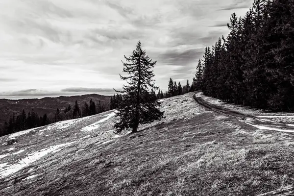 Dağlardaki güzel dağ manzarası.
