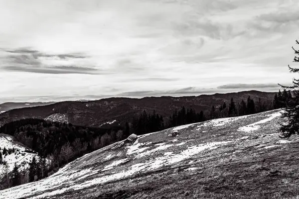 Karpatlar 'ın dağlarında kış manzarası