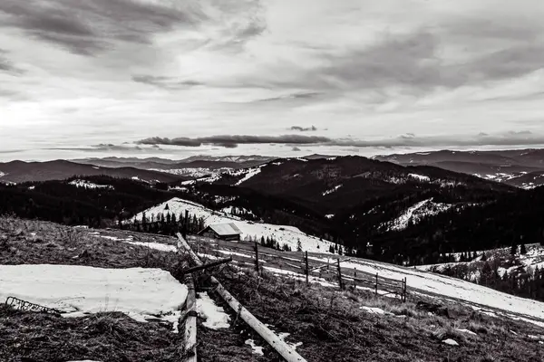 Ukrayna 'daki Karpatlar' ın kış manzarası.