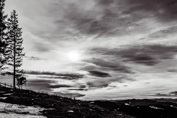 Karlı güzel bir manzara.