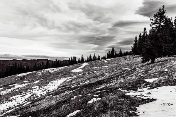 Karlı güzel kış manzarası