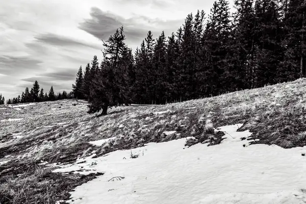 güzel kış manzara Karpat dağ