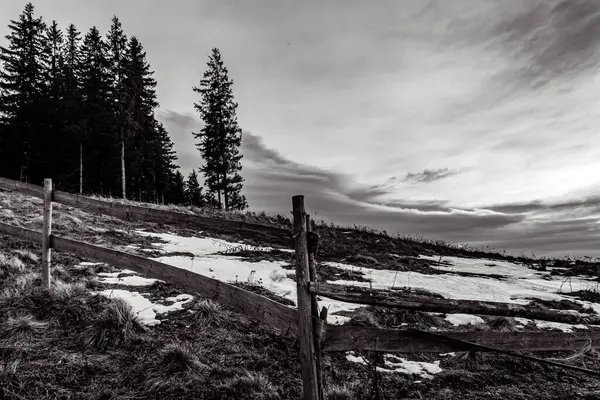 kış manzara siyah beyaz fotoğraf
