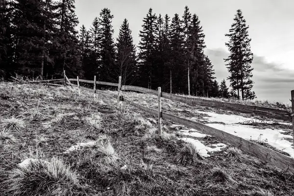 Kış dağı manzarası. Karpat Dağları. ukraine.