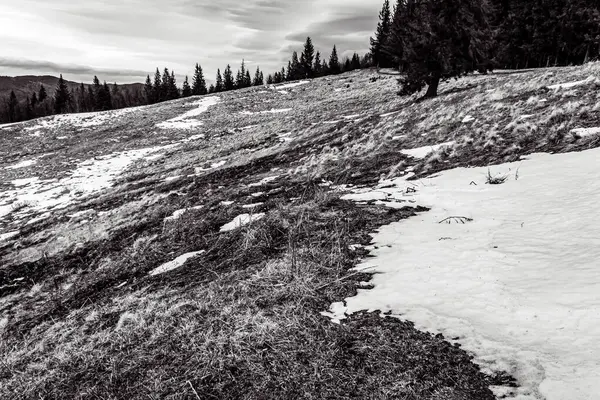 Karpatya dağlarında kış