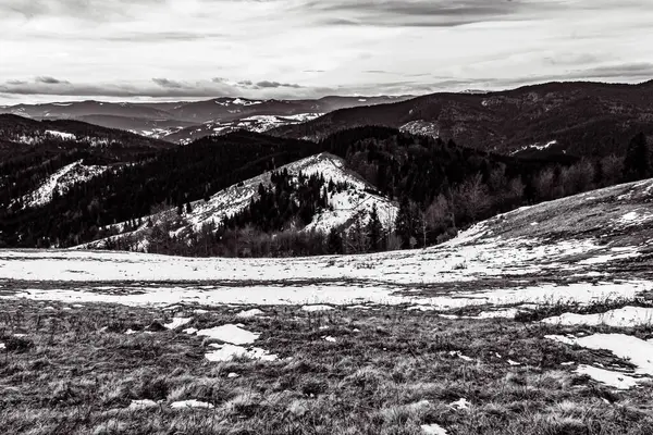 Karpat Dağları 'ndaki siyah ve beyaz manzara