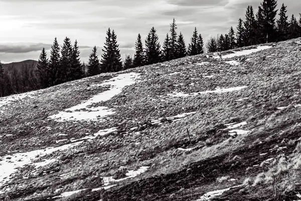 Güzel dağ manzarası. Doğa, seyahat
