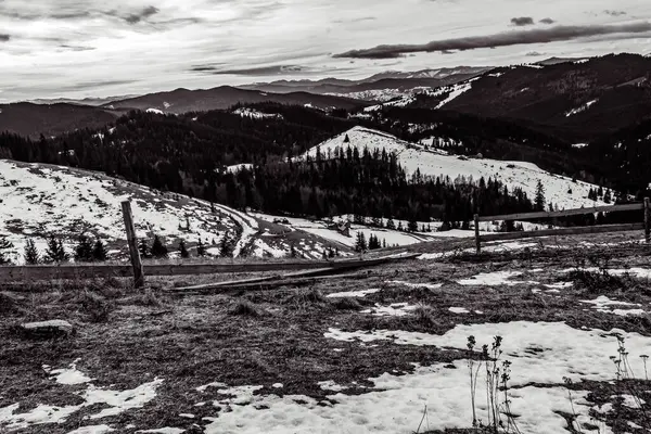Karpatlar 'daki dağların kış manzarası.