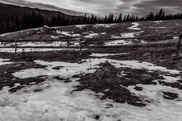 Kış karları ağaçları ve ormanı kapladı