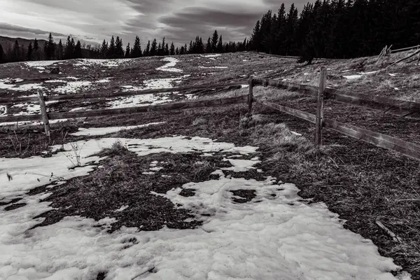 Karla kaplı ağaçlarla kaplı kış manzarası
