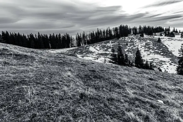 Dağları ve ağaçları olan güzel bir manzara.