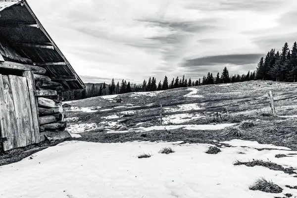 Karlı kış manzarası