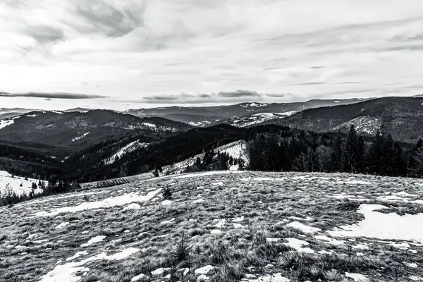 Dağlar ve ağaçlarla kaplı kış manzarası