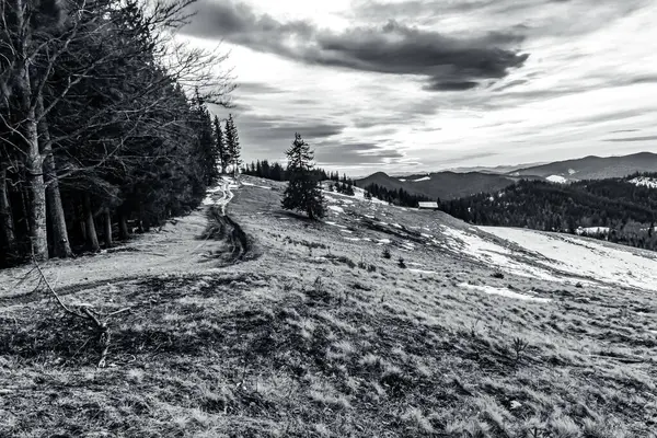 Dağlarda karla kaplı ağaçlarla kaplı güzel kış manzarası. yüksek kaliteli fotoğraf