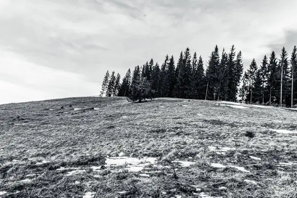 Dağları ve ormanı olan güzel bir manzara.