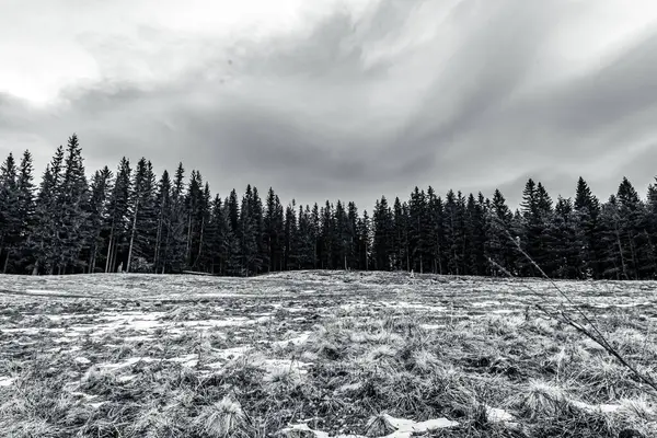 Kışın siyah ve beyaz manzaralar