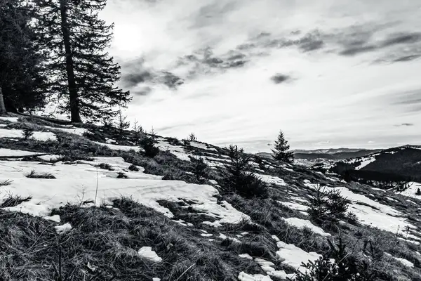 Ağaçla karlı bir dağın dikey görüntüsü.