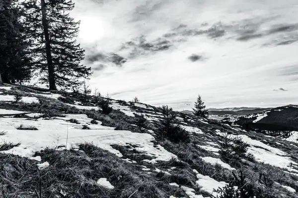 Bir dağ manzarasının güzel bir görüntüsü