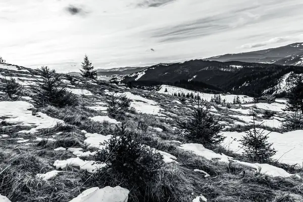 Dağları ve ağaçları kaplayan siyah ve beyaz kar, doğa ve seyahat geçmişi