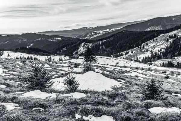 Slovakya 'daki Tatra dağlarının güzel bir görüntüsü.