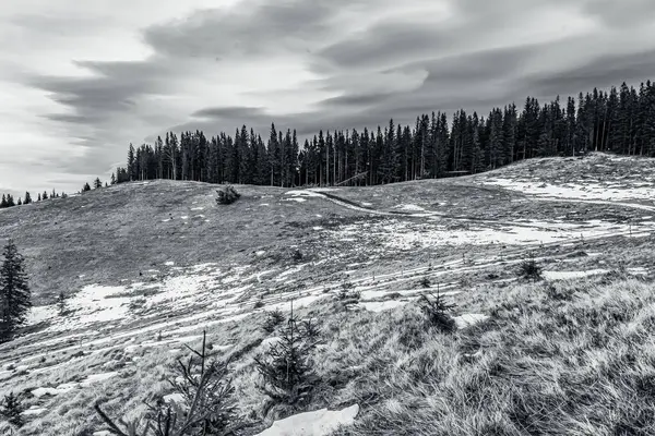 Kışın ağaçlarla kaplı bir dağ sırası.