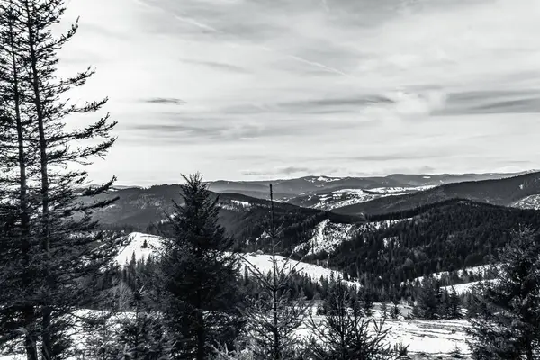 Doğanın güzel manzarası