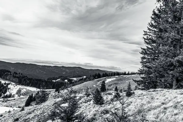 Tatra Ulusal Parkı 'ndaki güzel dağ manzarası.