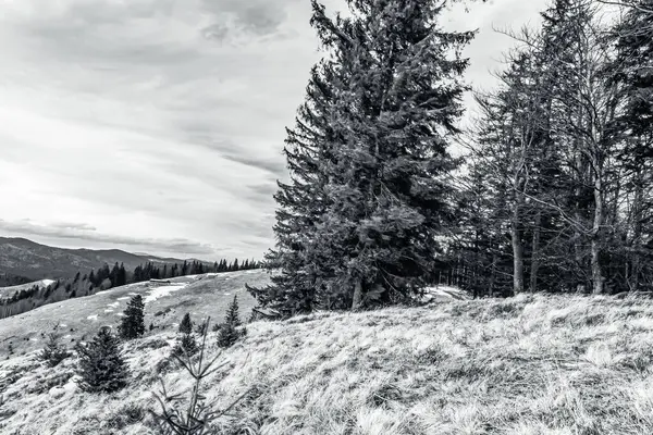 Dağların güzel manzarası