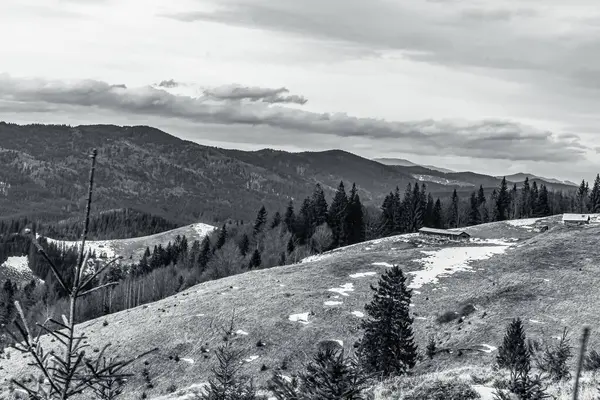 Dağın tepesinden Karpatların manzarası